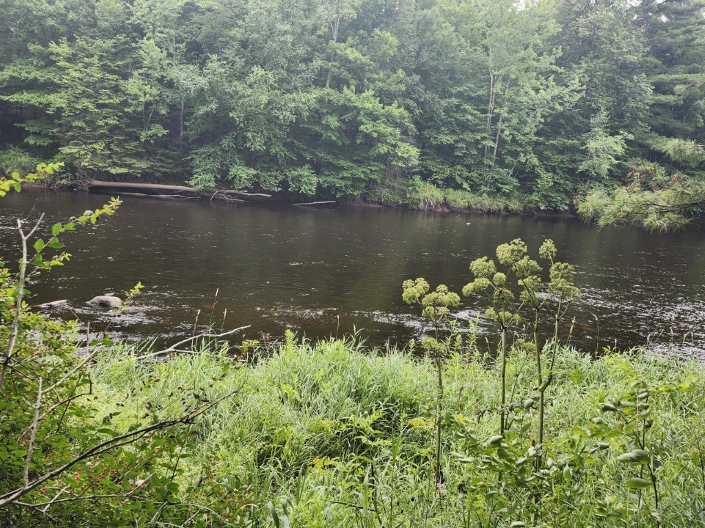 Lot 13 Lukes Heights Road Ogema WI 54459 - Jump River 1593218 image1