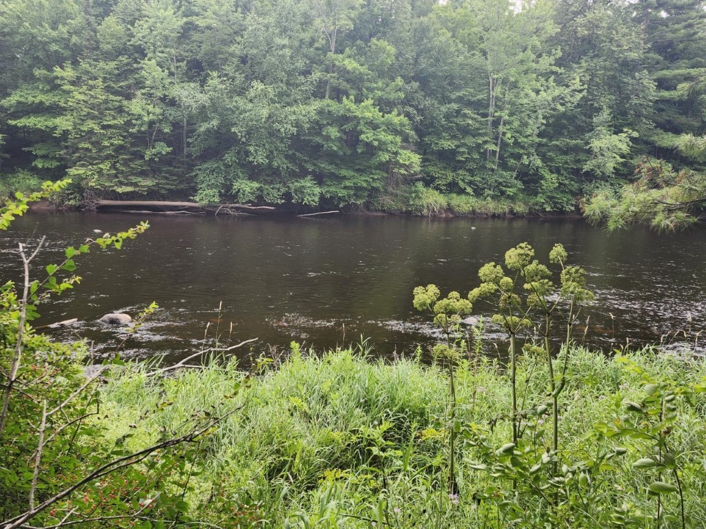 Lot 13 Lukes Heights Road Ogema WI 54459 - Jump River 1593218 image2
