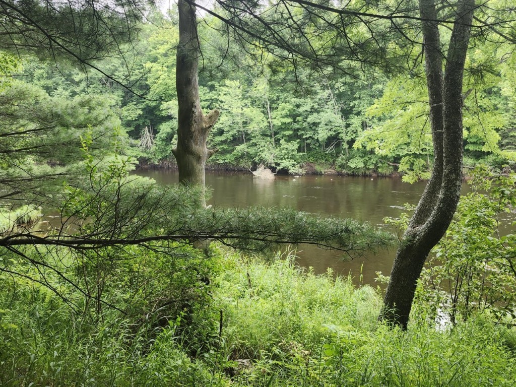 Lot 13 Lukes Heights Road Ogema WI 54459 - Jump River 1593218 image3