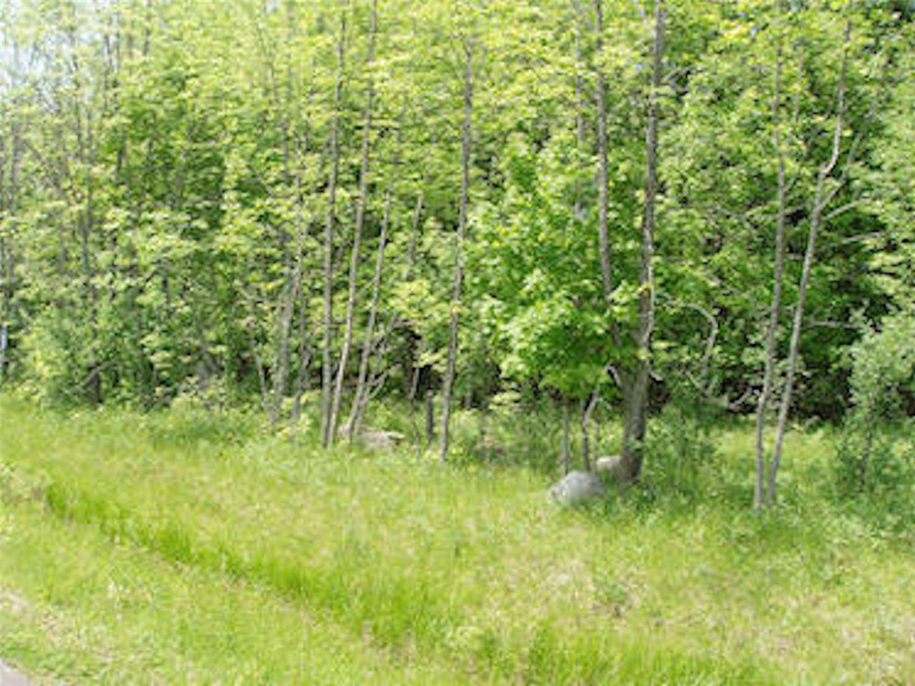 Lot 13 Margaret Lane Park Falls WI 54552 1590071 image1