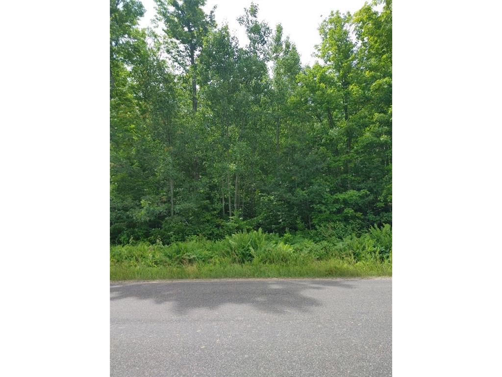 Lot 13 Peninsula Road, Hayward, WI, 54843 MLS 1575104 Edina Realty