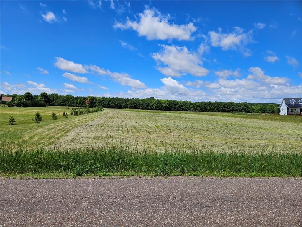 Lot 14 1010th Street Elk Mound WI 54739 1582835 image1