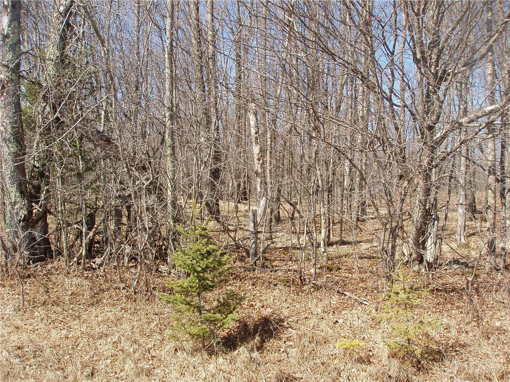 Lot 14 4th Add. Margaret Lane Park Falls WI 54552 1589962 image1