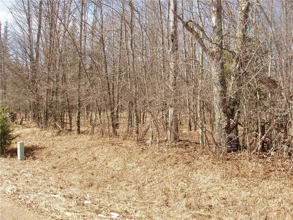 Lot 14 4th Add. Margaret Lane Park Falls WI 54552 1589962 image2