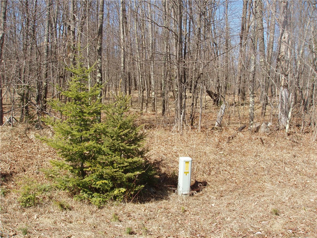 Lot 14 4th Add. Margaret Lane Park Falls WI 54552 1589962 image3