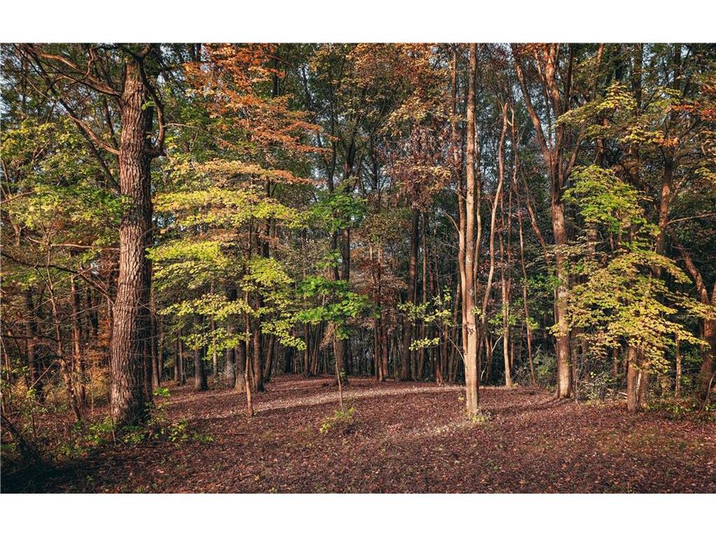 Lot 14 Forest Hills Drive Black River Falls WI 54615 1576718 image1