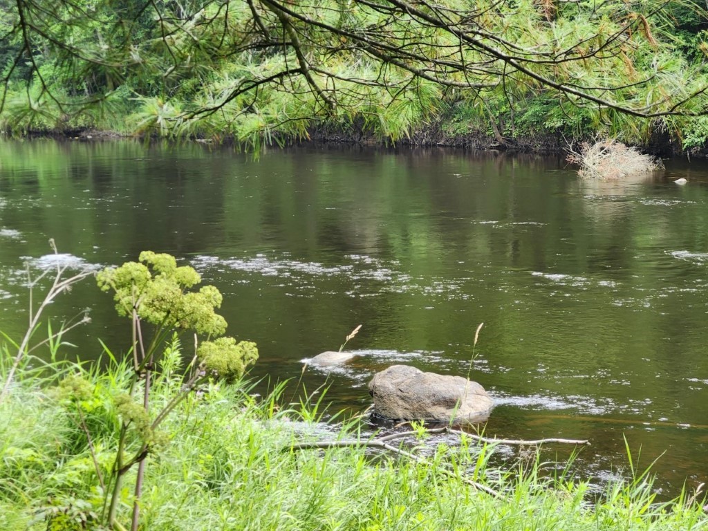 Lot 14 Lukes Heights Road Ogema WI 54459 - Jump River 1593220 image1