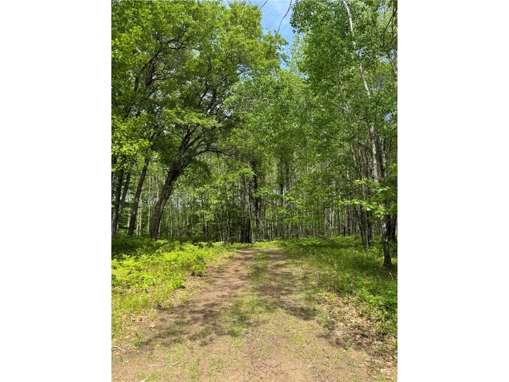 Lot 141 Eagle Drive Danbury WI 54830 1588063 image14