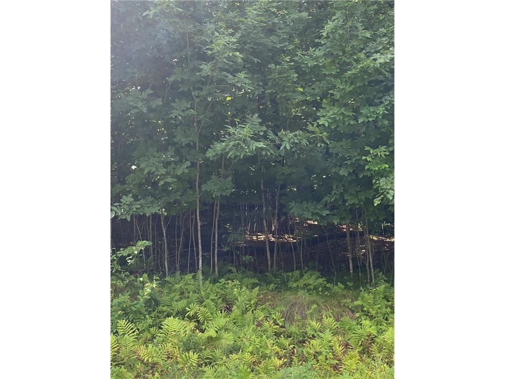 Lot 15 156th Avenue Stanley WI 54768 1569008 image1