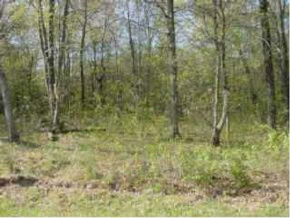 Lot 15 23 3/8 St Chetek WI 54728 1576923 image1