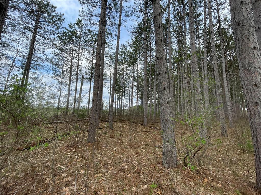 Lot 15 Cassandra Road Hayward WI 54843 1572940 image1
