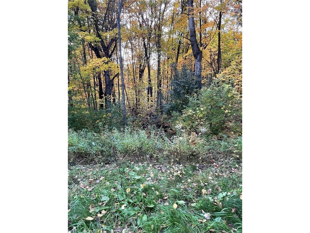 Lot 15 Lake Road Altoona WI 54720 1572404 image1