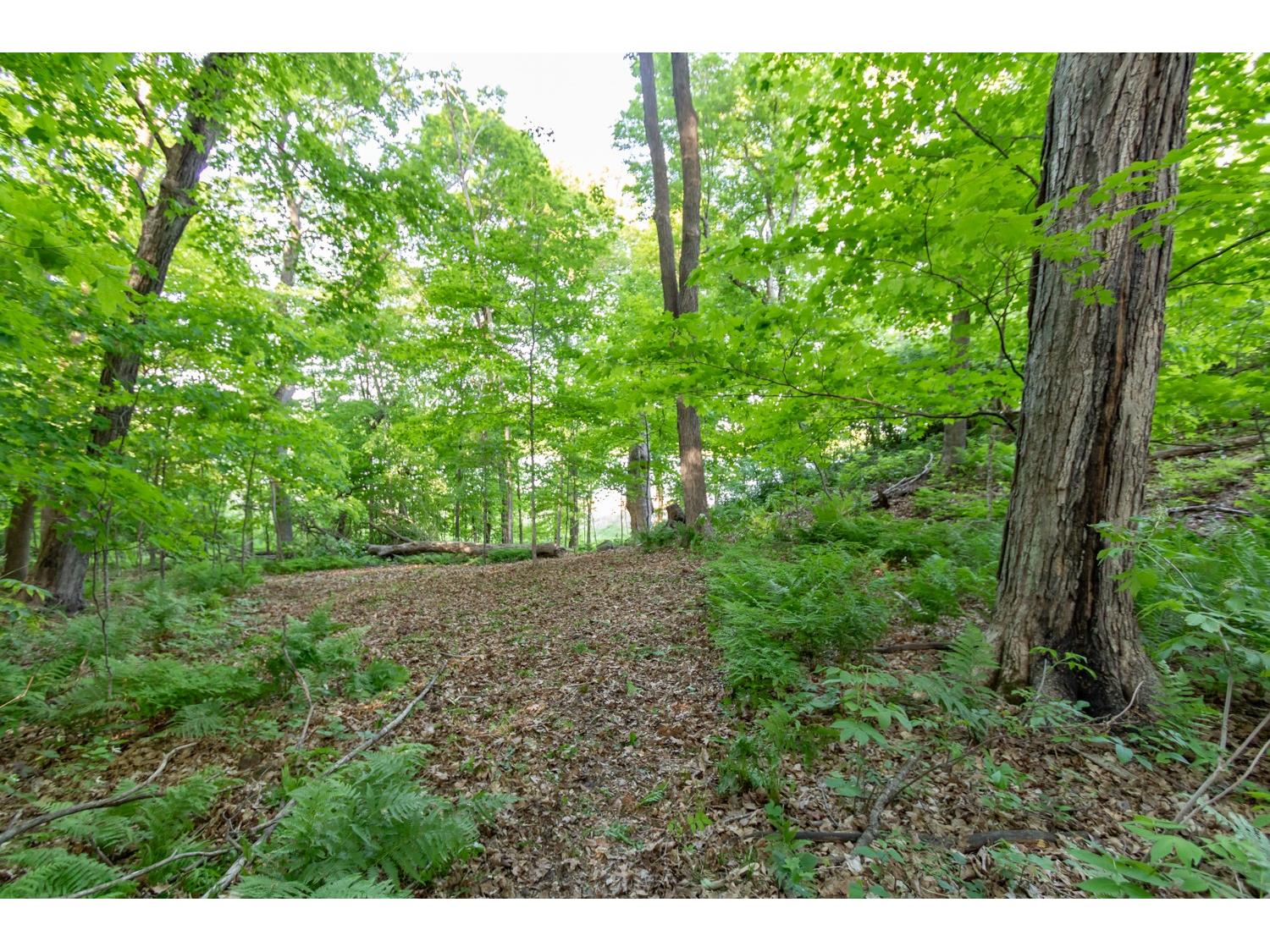 Lot 16 134th Avenue Amery WI 54001 - Brusher Lake 1601685 image10