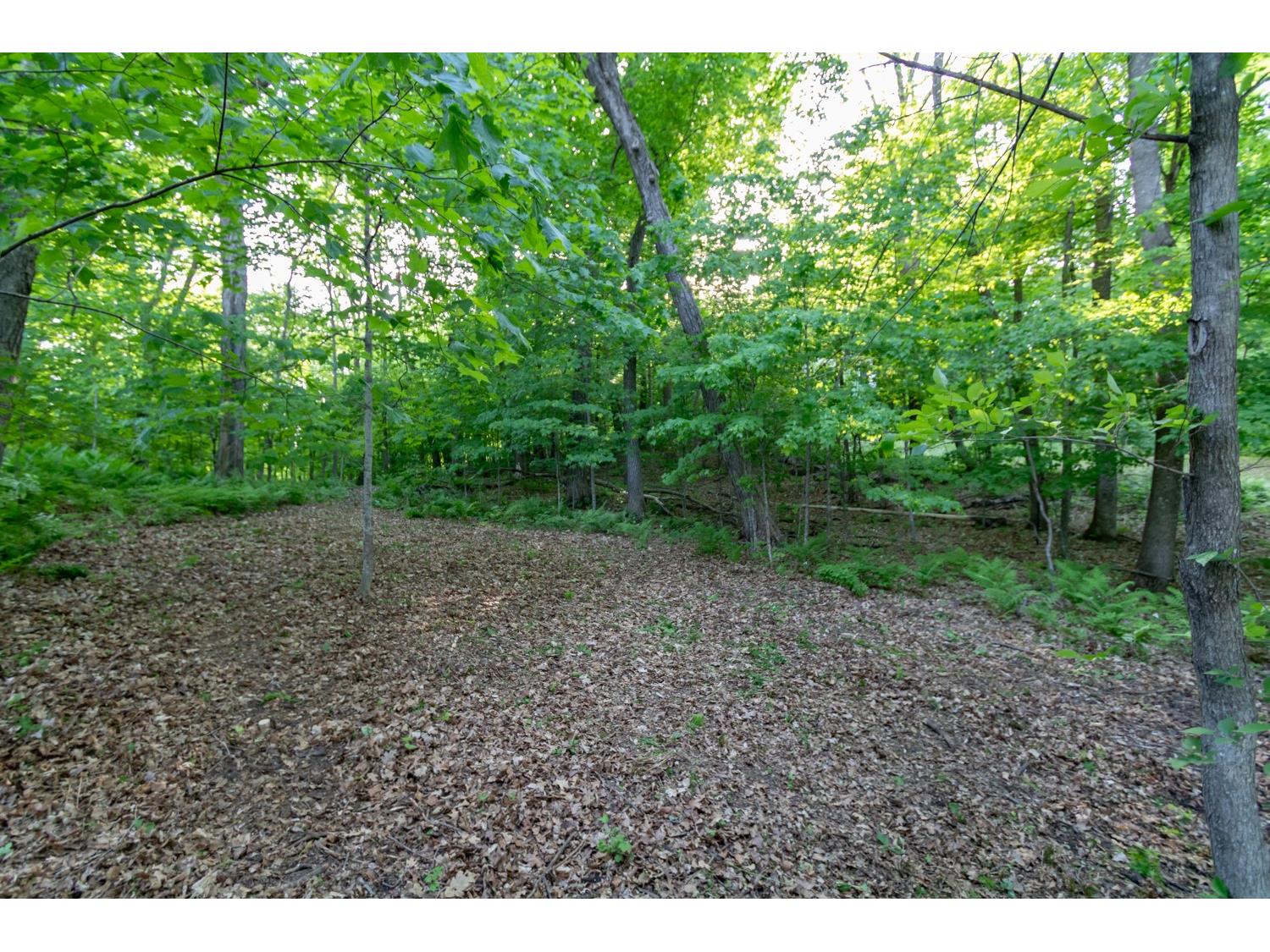 Lot 16 134th Avenue Amery WI 54001 - Brusher Lake 1601685 image12