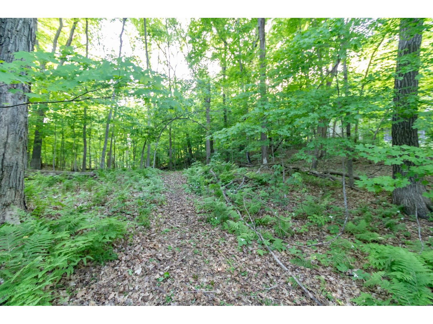 Lot 16 134th Avenue Amery WI 54001 - Brusher Lake 1601685 image13