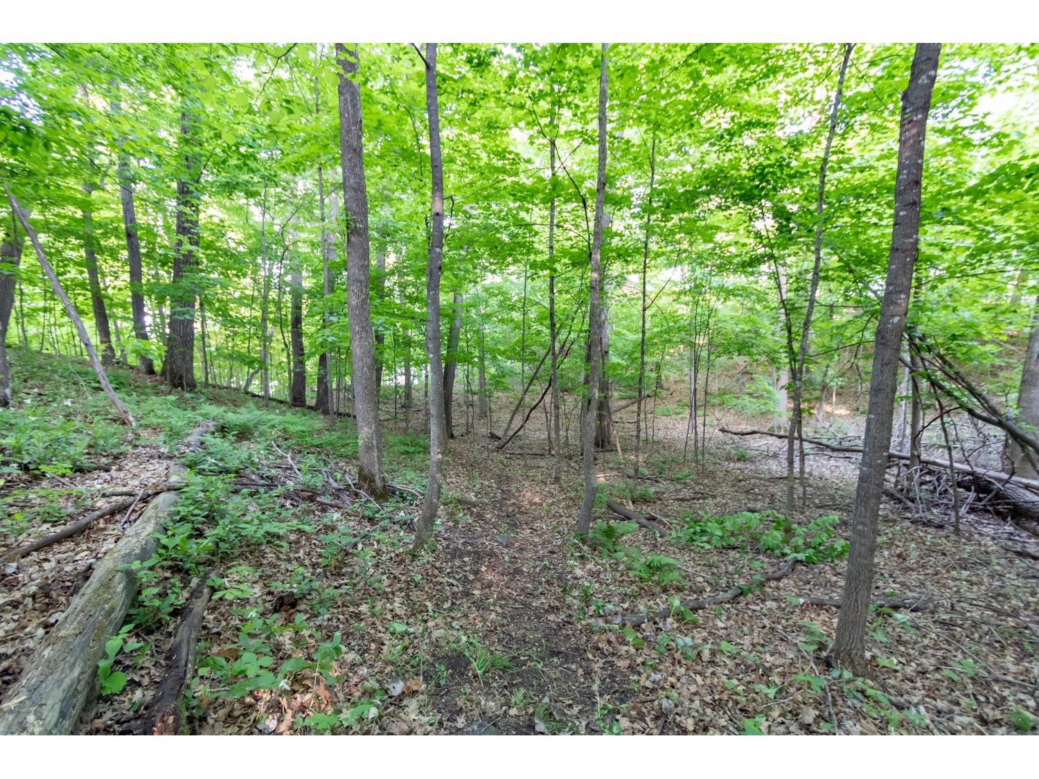 Lot 16 134th Avenue Amery WI 54001 - Brusher Lake 1601685 image14