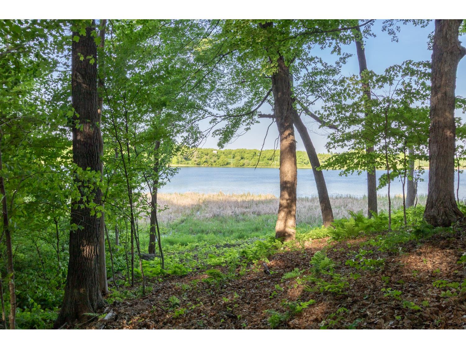 Lot 16 134th Avenue Amery WI 54001 - Brusher Lake 1601685 image2