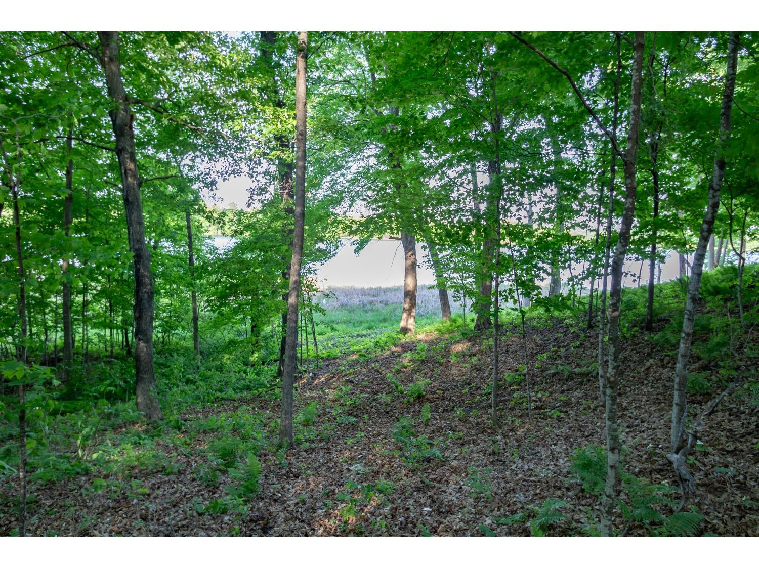 Lot 16 134th Avenue Amery WI 54001 - Brusher Lake 1601685 image8
