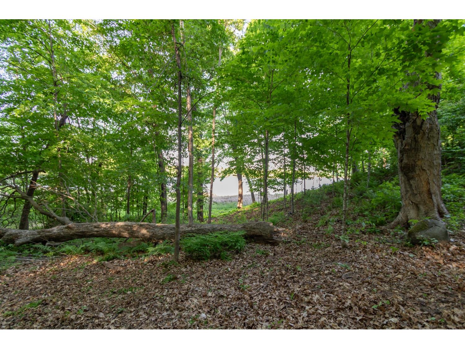 Lot 16 134th Avenue Amery WI 54001 - Brusher Lake 1601685 image9