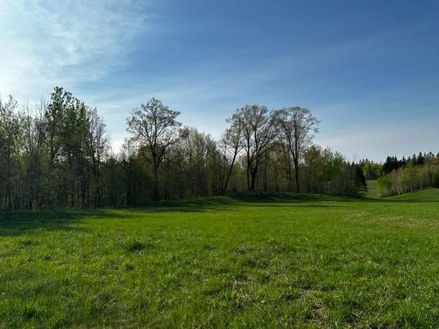 Lot 16 Birken Trail Road Hayward WI 54843 1572056 image1