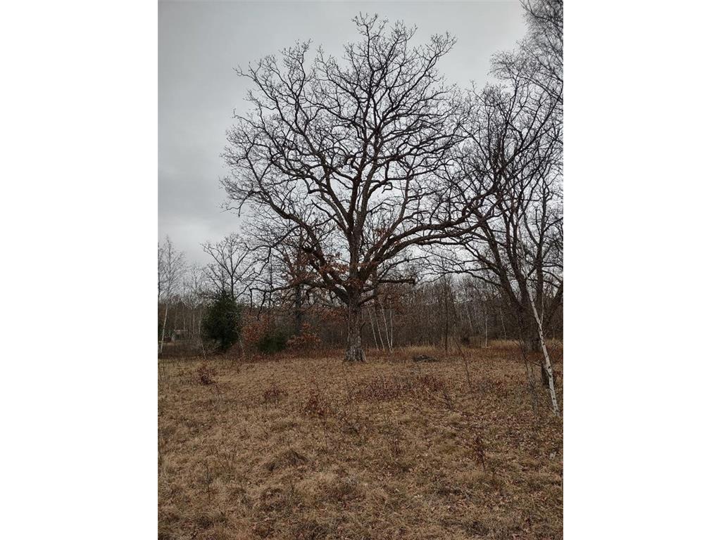 Lot 16 XXX 10 1/4 Avenue Chetek WI 54728 1579825 image1