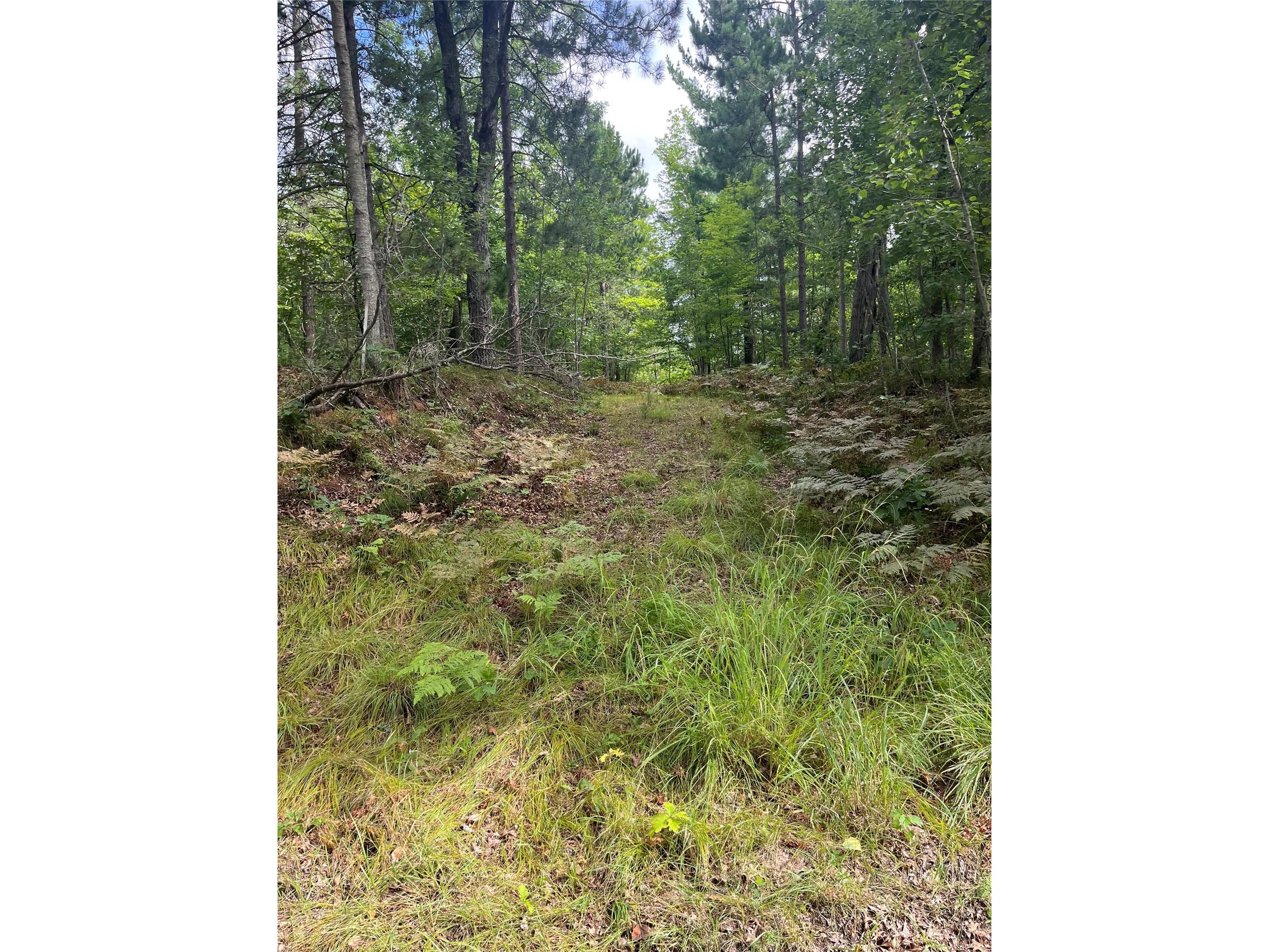 Lot 160 Eagle Drive Danbury WI 54830 1601273 image14