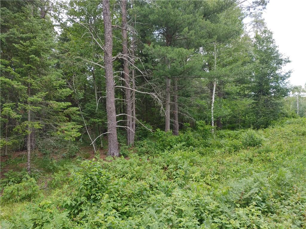 Lot 17 Lake Lodge Drive Cable WI 54821 1566512 image1