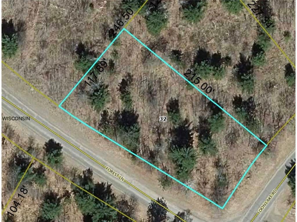 Lot 17 Loon Lake Road Danbury WI 54830 1587880 image1