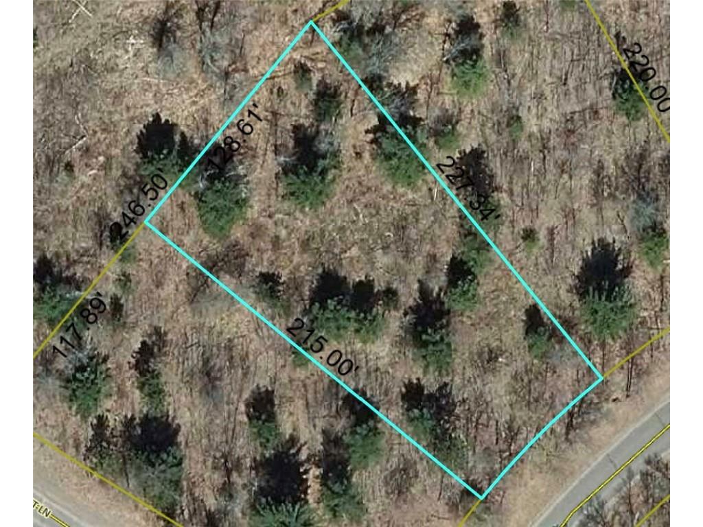 Lot 18 Loon Lake Road Danbury WI 54830 1587879 image1