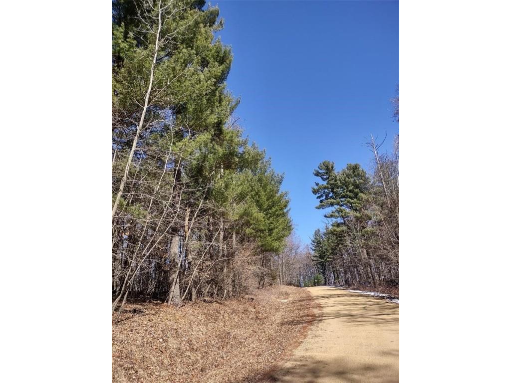 Lot 18 N4XX 297th Street Eau Galle WI 54737 1590179 image10