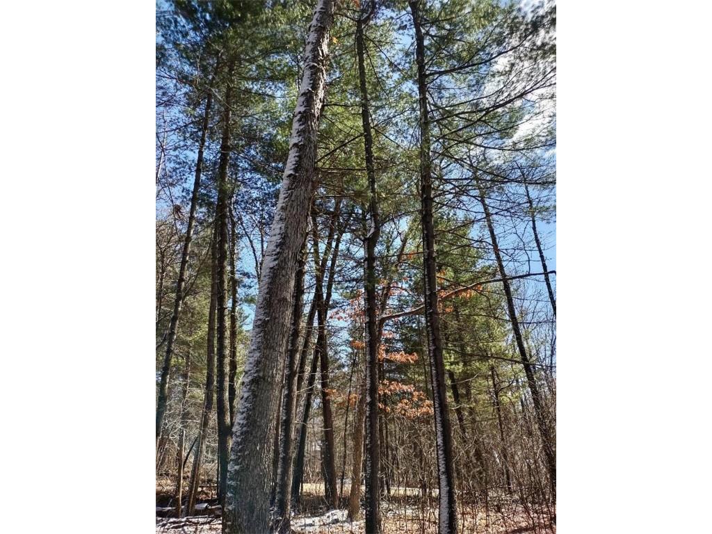 Lot 18 N4XX 297th Street Eau Galle WI 54737 1590179 image12