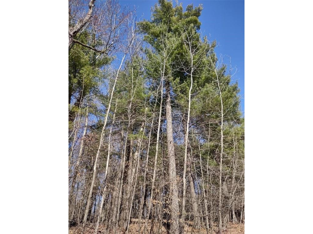 Lot 18 N4XX 297th Street Eau Galle WI 54737 1590179 image14