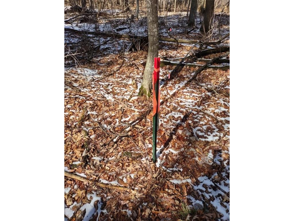 Lot 18 N4XX 297th Street Eau Galle WI 54737 1590179 image19