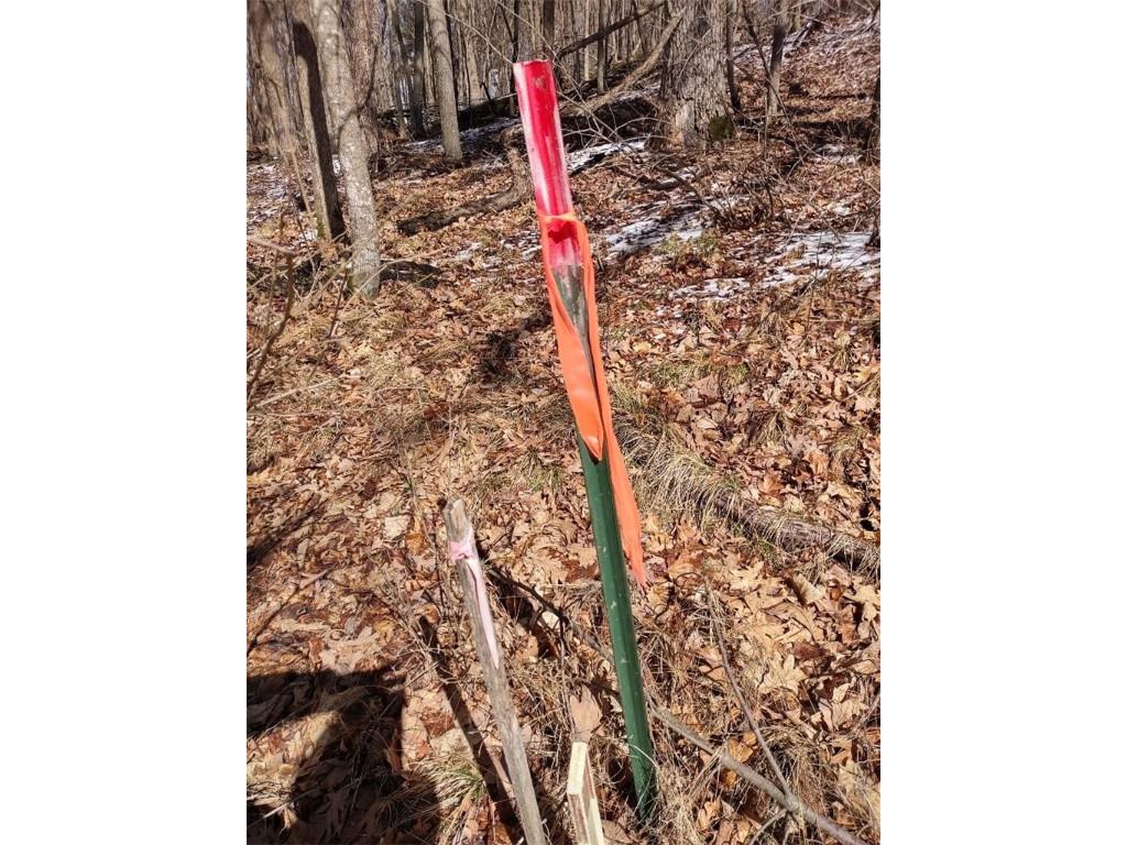 Lot 18 N4XX 297th Street Eau Galle WI 54737 1590179 image20