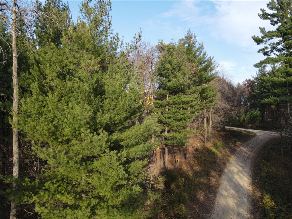 Lot 18 N4XX 297th Street Eau Galle WI 54737 1590179 image4