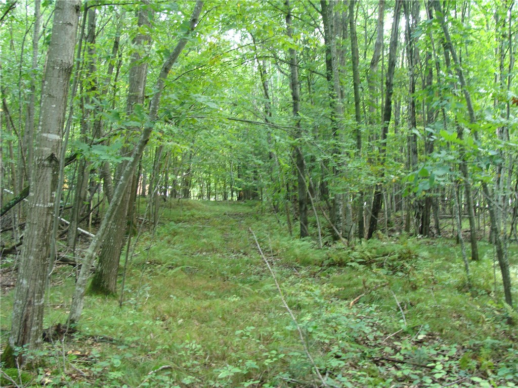 Lot 18 Pondell Lane W Bruce WI 54819 - Bog Lake 1595153 image10