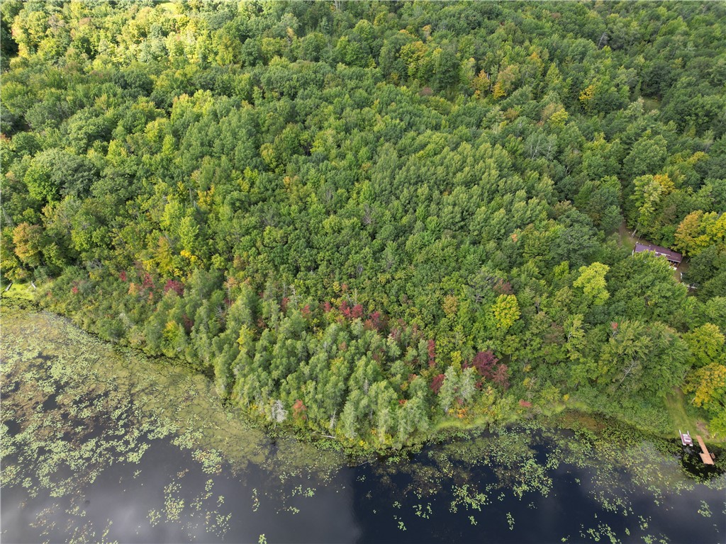 Lot 18 Pondell Lane W Bruce WI 54819 - Bog Lake 1595153 image4