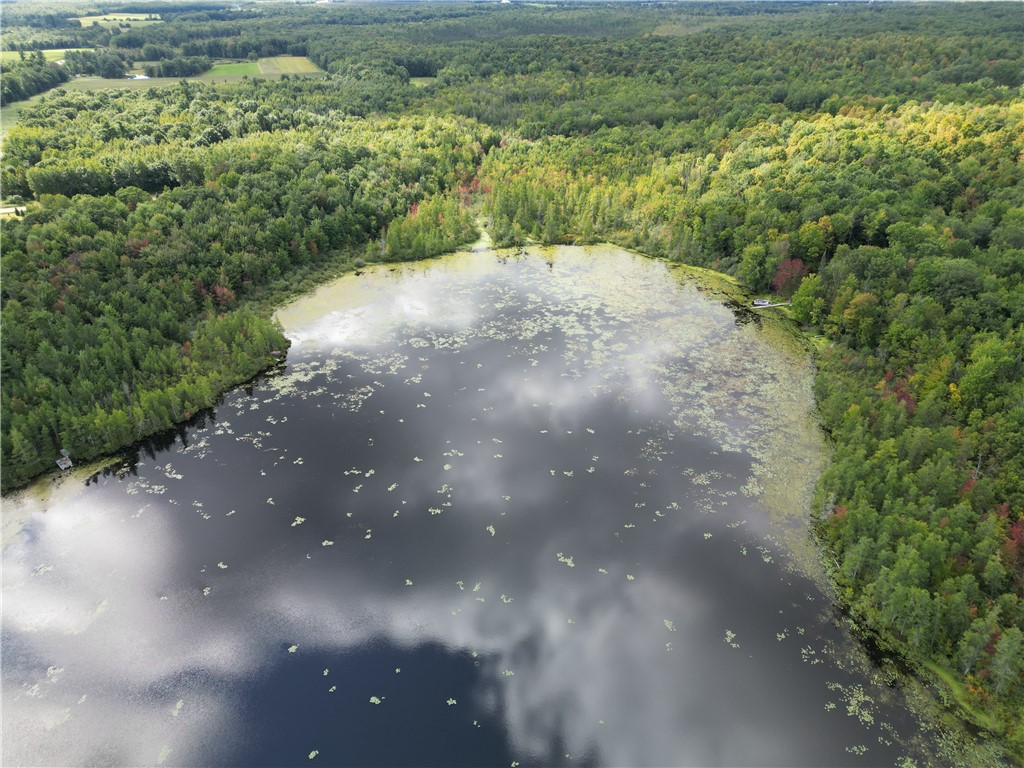 Lot 18 Pondell Lane W Bruce WI 54819 - Bog Lake 1595153 image6