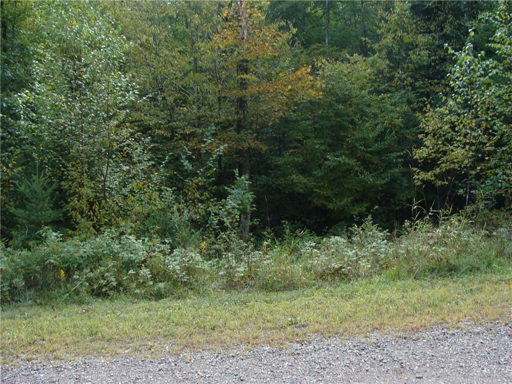 Lot 18 Pondell Lane W Bruce WI 54819 - Bog Lake 1595153 image7