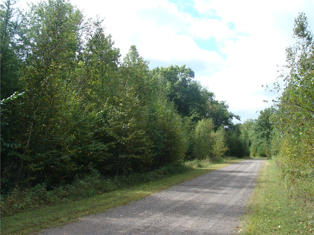 Lot 18 Pondell Lane W Bruce WI 54819 - Bog Lake 1595153 image8