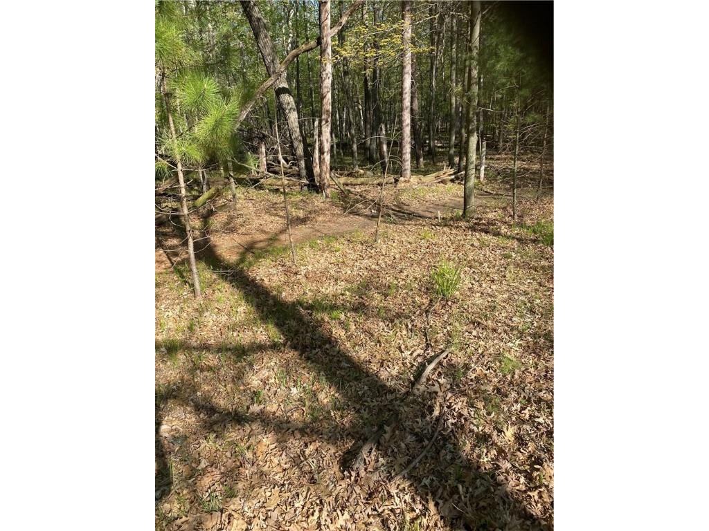 Lot 19 Aspen Hill Trail Way Danbury WI 54830 1596509 image14