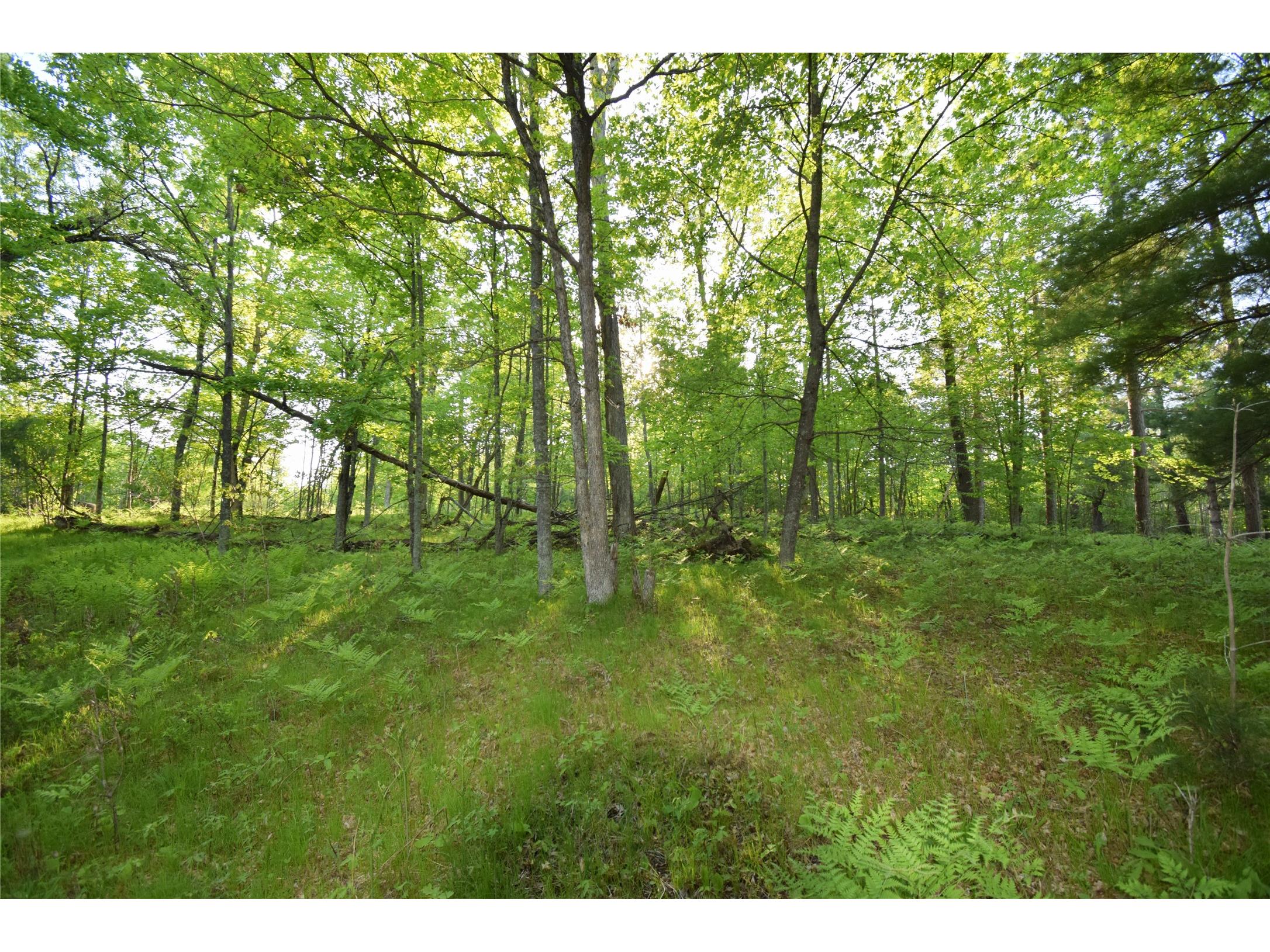 Lot 19 Aspen Hill Trailway Webster WI 54893 1601819 image1
