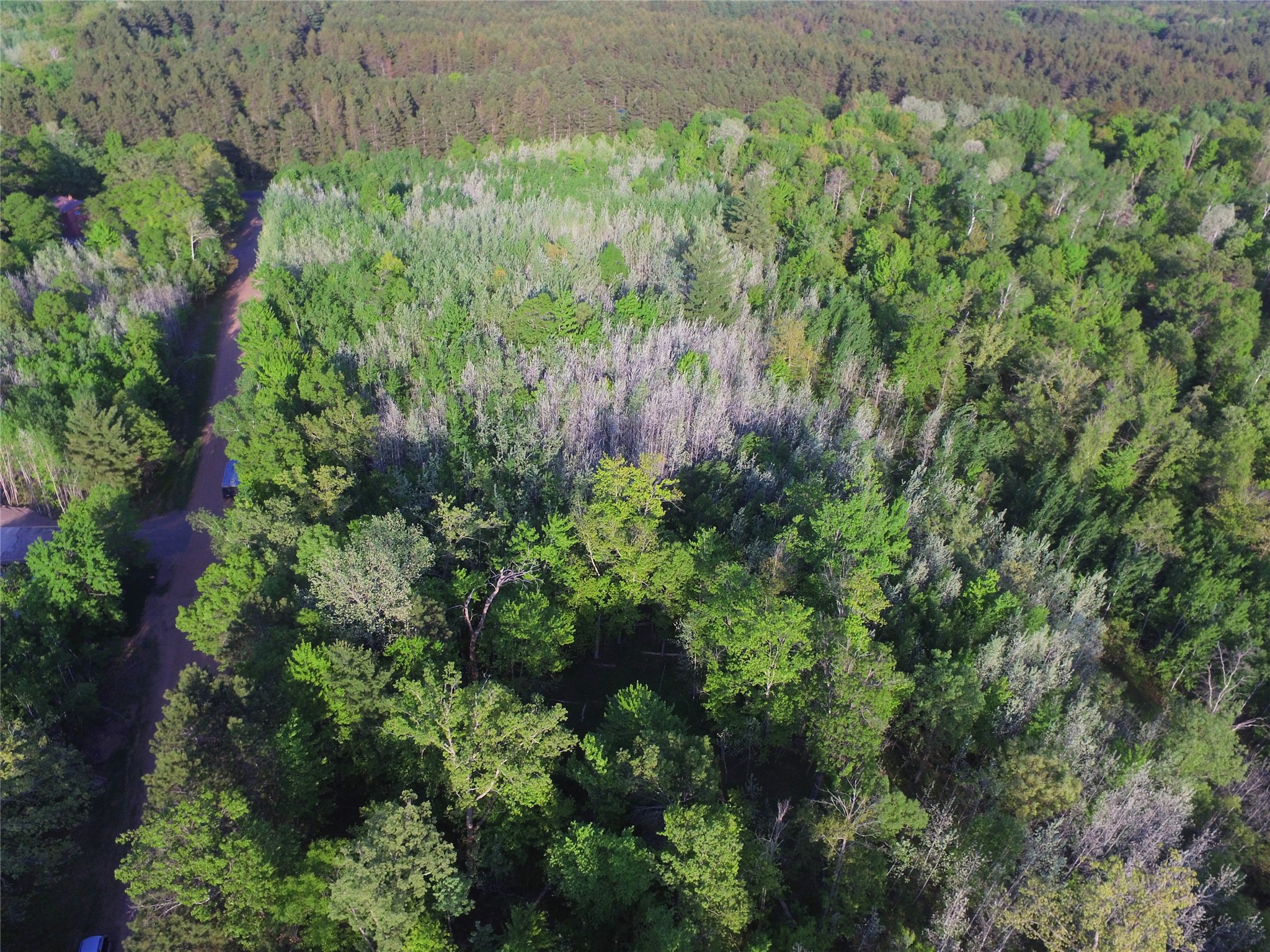 Lot 19 Aspen Hill Trailway Webster WI 54893 1601819 image11