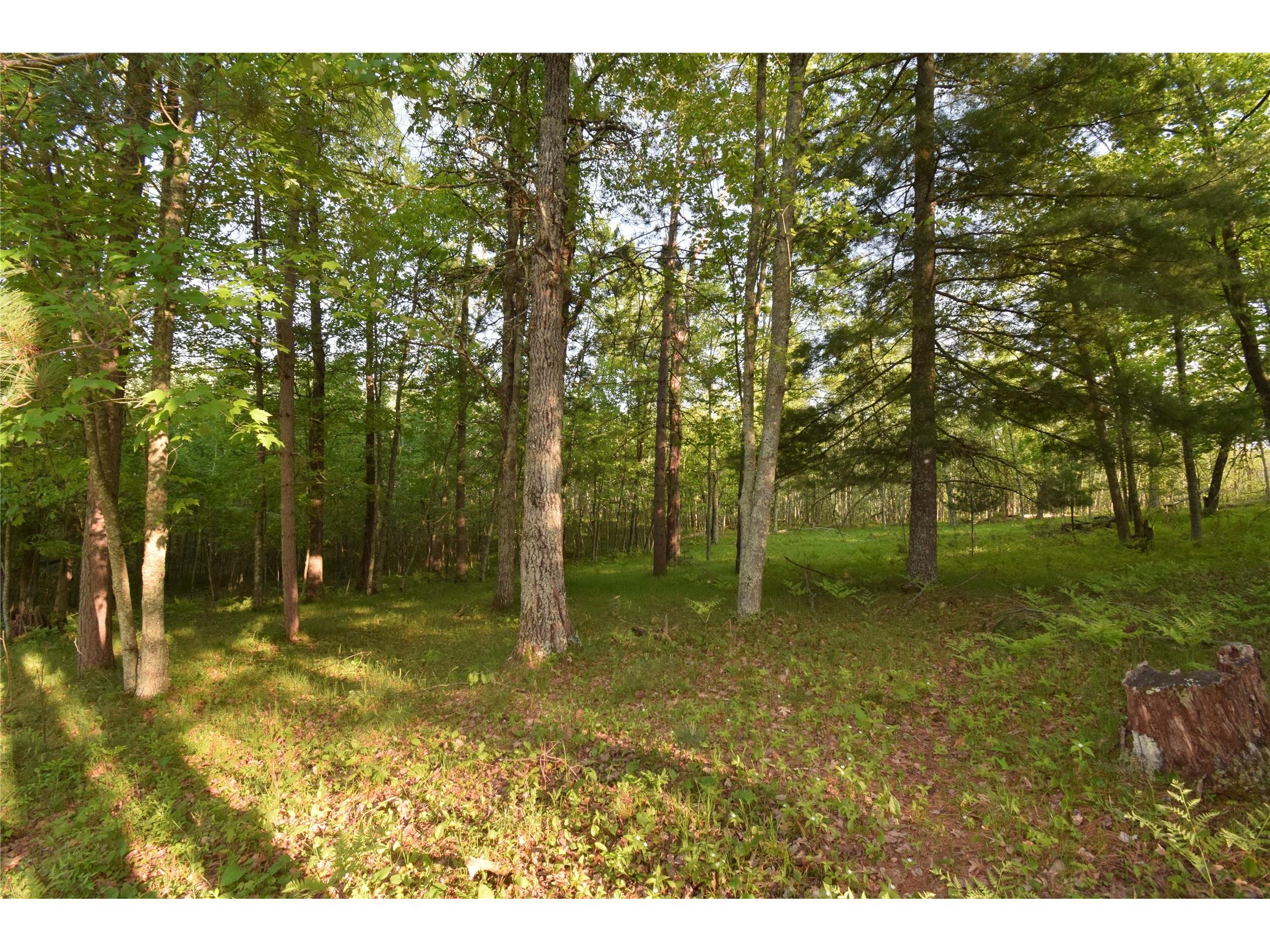 Lot 19 Aspen Hill Trailway Webster WI 54893 1601819 image13