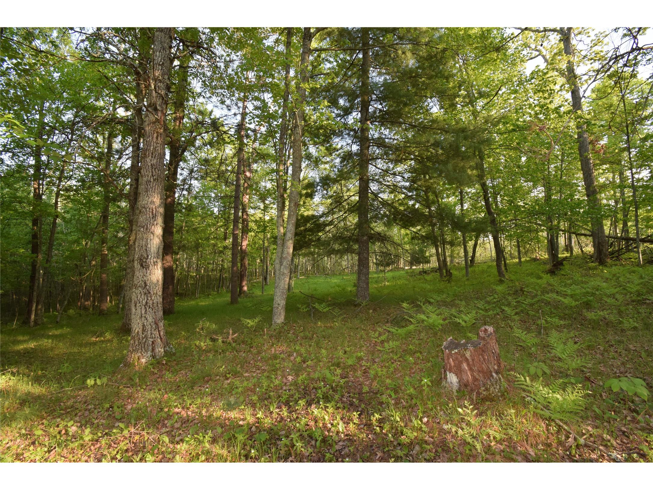 Lot 19 Aspen Hill Trailway Webster WI 54893 1601819 image14