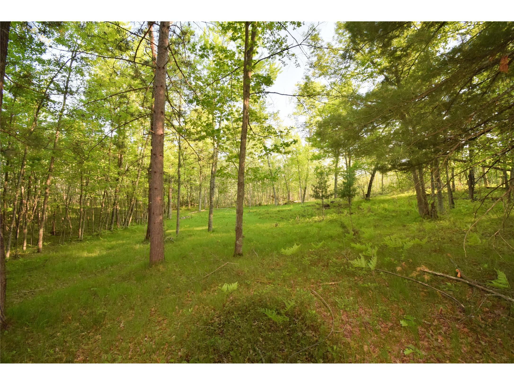 Lot 19 Aspen Hill Trailway Webster WI 54893 1601819 image15