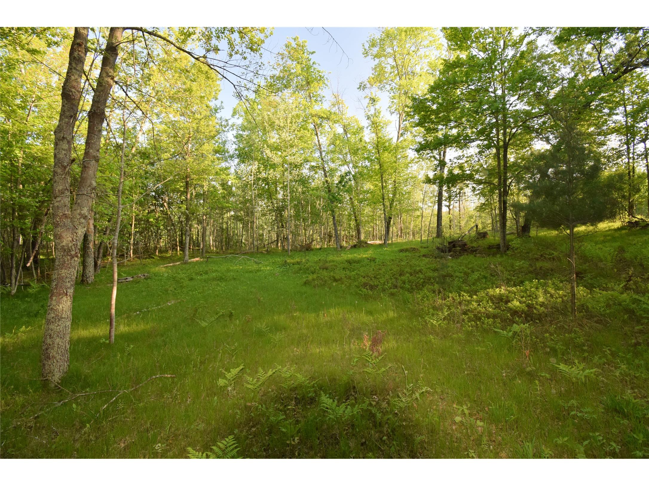 Lot 19 Aspen Hill Trailway Webster WI 54893 1601819 image16