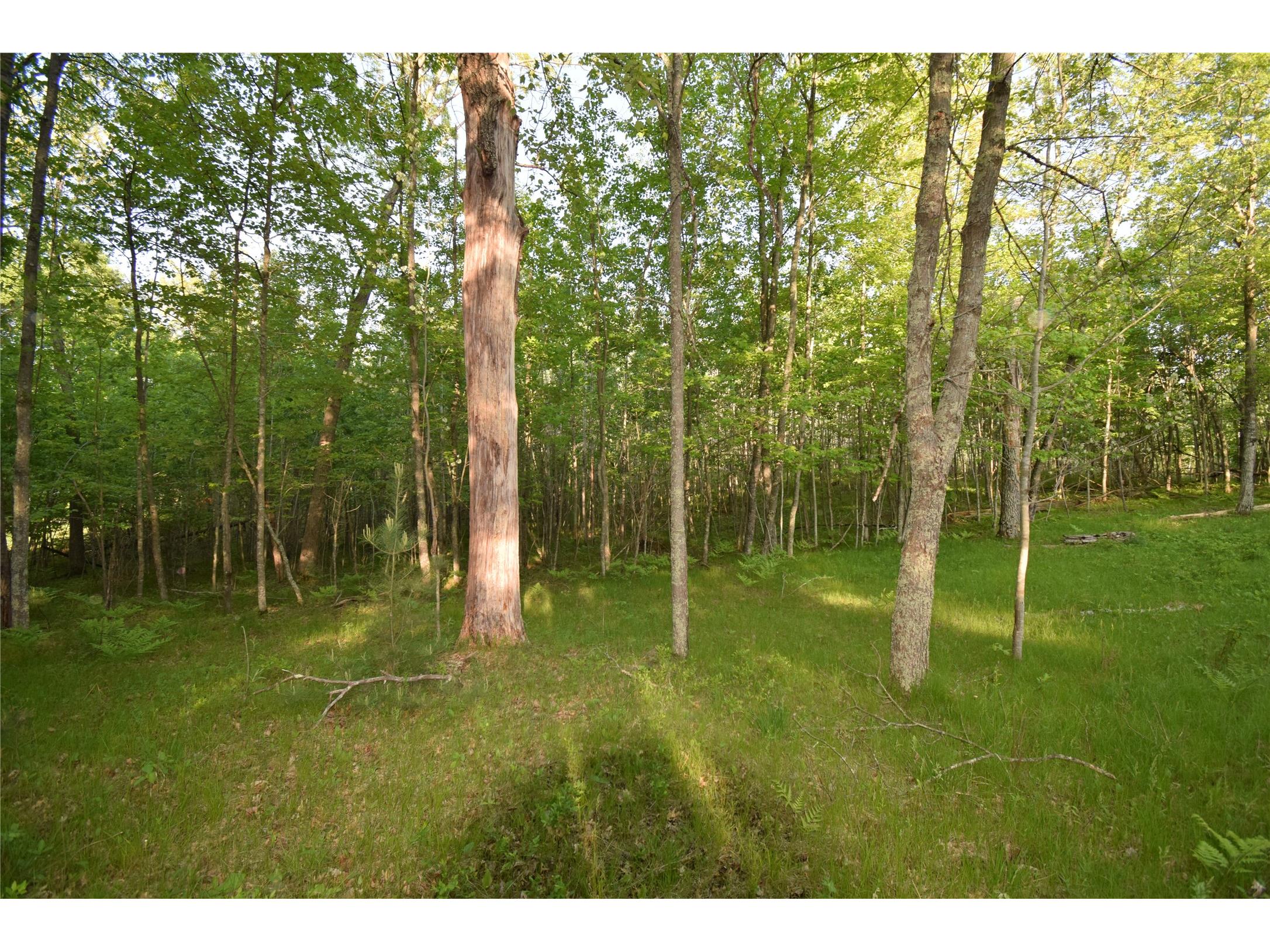 Lot 19 Aspen Hill Trailway Webster WI 54893 1601819 image18