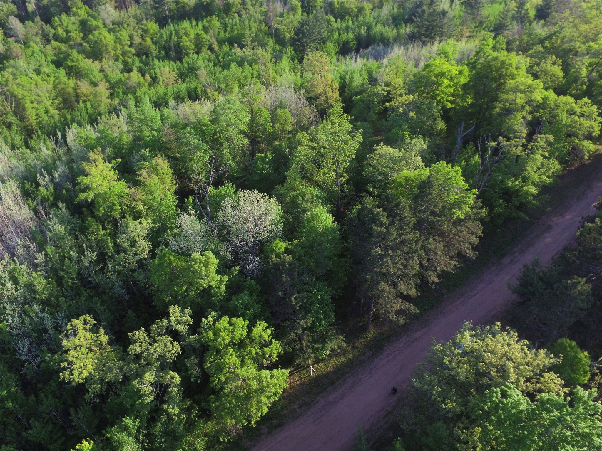 Lot 19 Aspen Hill Trailway Webster WI 54893 1601819 image9