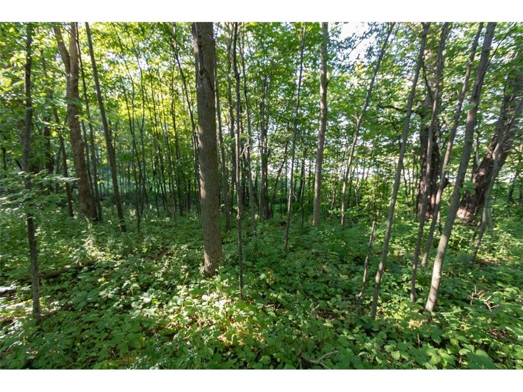 Lot 2 120th Avenue Amery WI 54001 - Mud Lake 1568342 image1